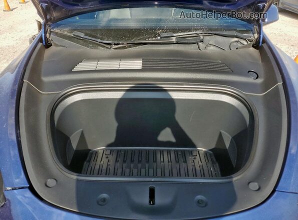 5YJYGDEE8MF200478 2021 TESLA MODEL Blue Սալոնի հետևի տեսք
