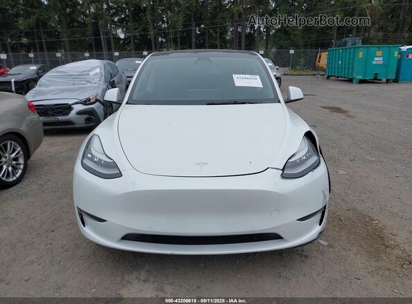 5YJYGDEE8MF241287 2021 TESLA MODEL Y White Instrument cluster view