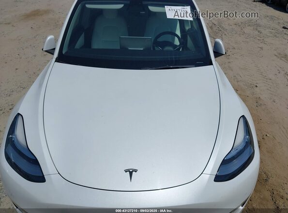 5YJYGDEEXMF311629 2021 TESLA MODEL Y Белый 