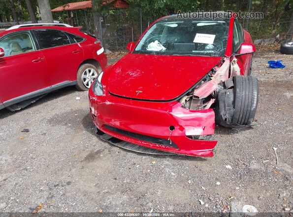 5YJYGDEF0MF141015 2021 TESLA MODEL Y Red 