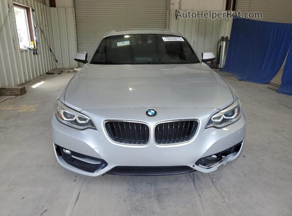 WBA2F9C36HV664915 2017 BMW 2 SERIES Silver Вид ззаду