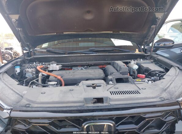 7FARS6H51PE007351 2023 HONDA CR-V Gray Вид ззаду