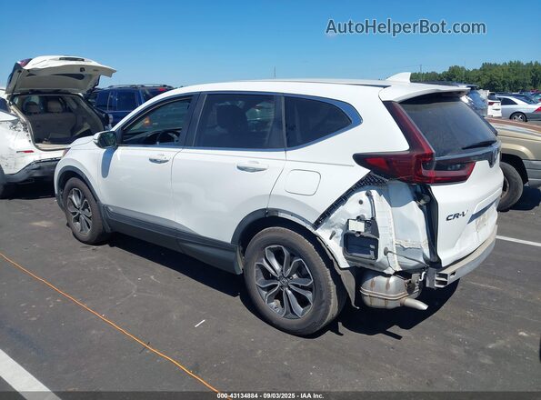 7FARW1H8XLE023494 2020 HONDA CR-V White Հետևի ձախ