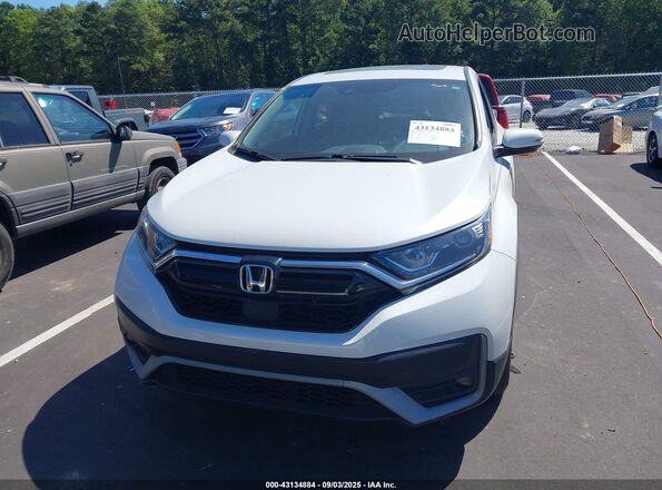 7FARW1H8XLE023494 2020 HONDA CR-V White Սալոնի հետևի տեսք