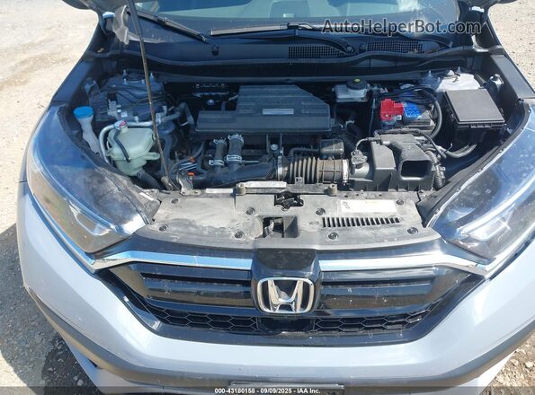 7FARW2H53ME010521 2021 HONDA CR-V Gray Вид ззаду
