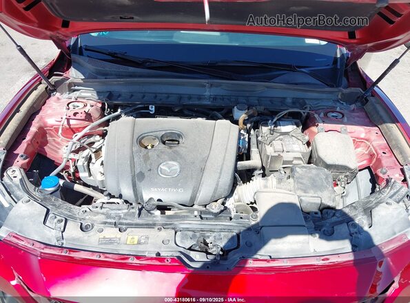 7MMVABAMXRN242441 2024 MAZDA CX-5 Красный Вид сзади