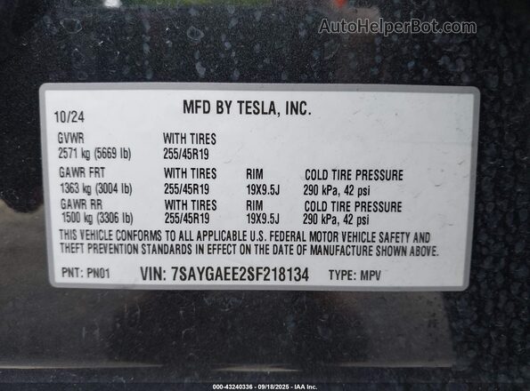 7SAYGAEE2SF218134 2025 TESLA MODEL Y Gray 