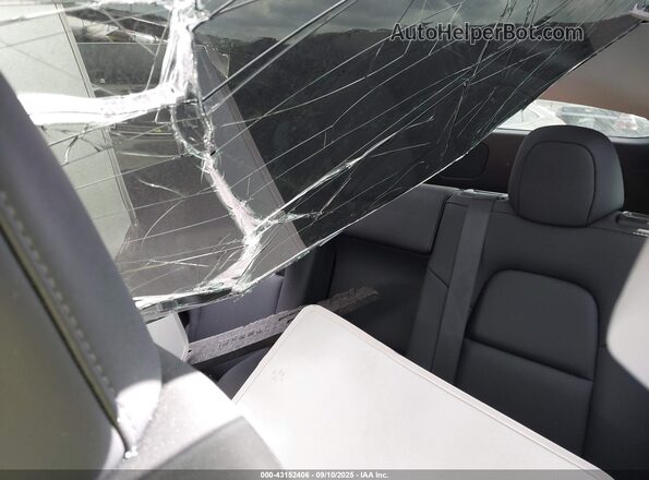 7SAYGDED2RF115749 2024 TESLA MODEL Y Gray Вид наклейки з VIN-кодом