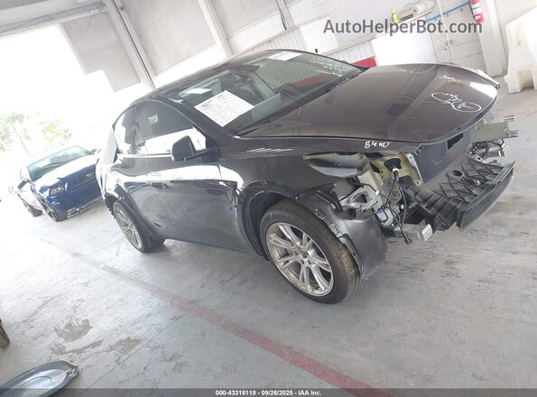 7SAYGDED6RF042482 2024 TESLA MODEL Y Dark Blue Սալոնի հետևի տեսք