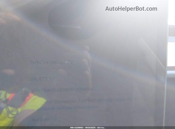 7SAYGDED8RF205908 2024 TESLA MODEL Y Черный Вид задних сидений