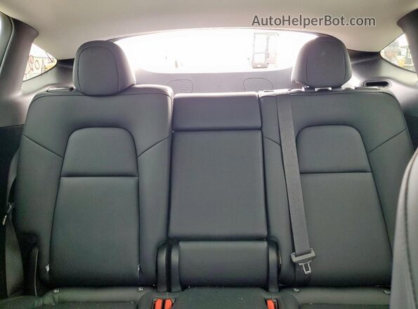 7SAYGDEDXRA327568 2024 TESLA MODEL Blue Rear seats view