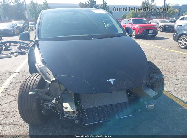 7SAYGDEE1RF176891 2024 TESLA MODEL Y Black წინა ხედი