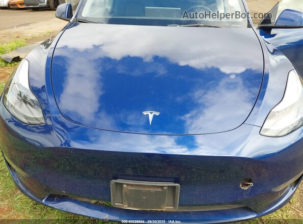 7SAYGDEE2PF927932 2023 TESLA MODEL Y Blue Вид ззаду