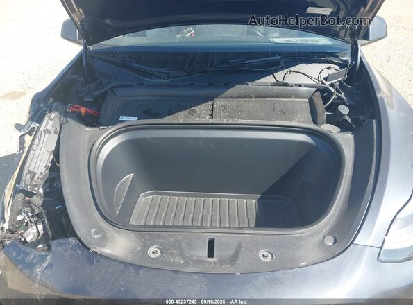 7SAYGDEE6RA278376 2024 TESLA MODEL Y Серый Вид сзади