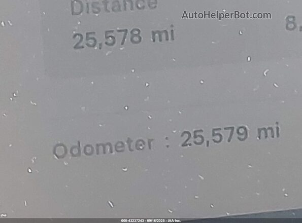 7SAYGDEE6RA278376 2024 TESLA MODEL Y Серый 