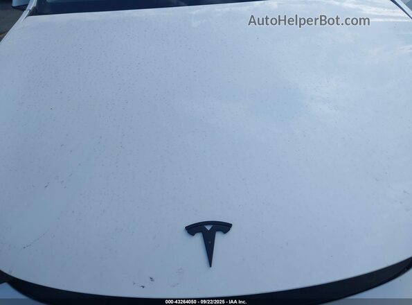 7SAYGDEF6NF538958 2022 TESLA MODEL Y White Вид ззаду