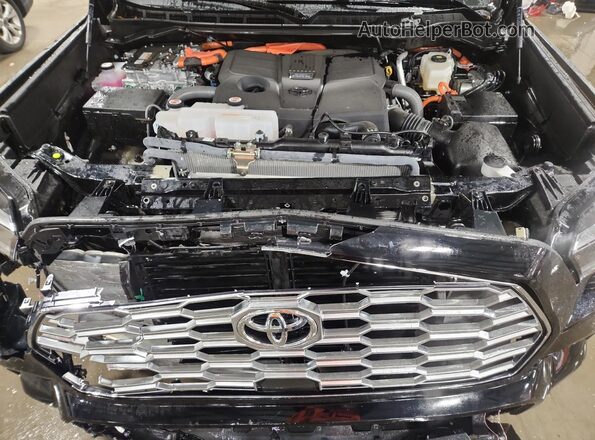 7SVAAABAXSX063460 2025 TOYOTA SEQUOIA Black 