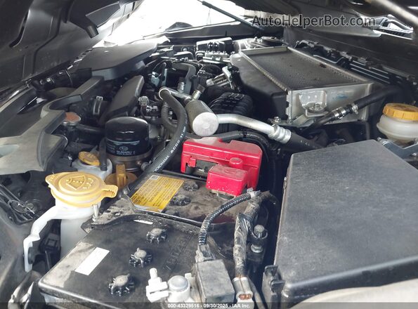 JF1VBAB66R9808570 2024 SUBARU WRX Black 