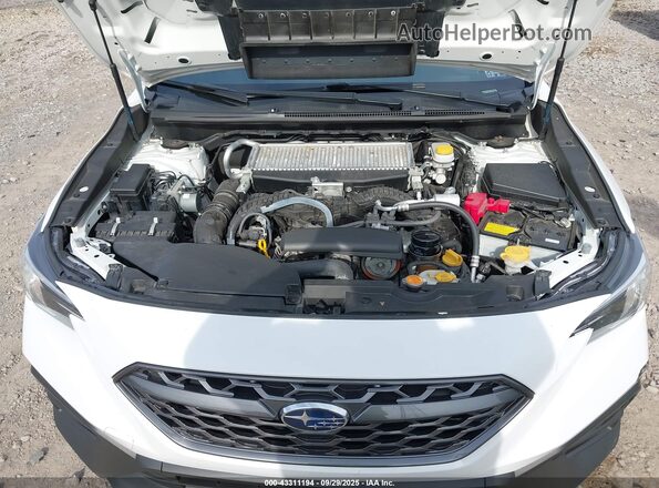 JF1VBAF61P9813795 2023 SUBARU WRX White უკანა ხედი
