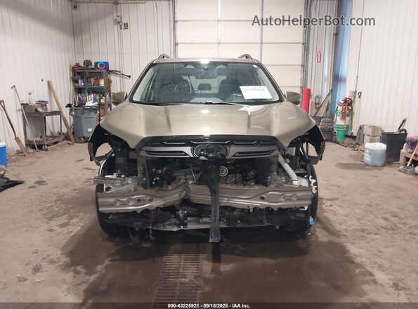JF2SKAPC3PH486888 2023 SUBARU FORESTER Green Widok wnętrza z tyłu