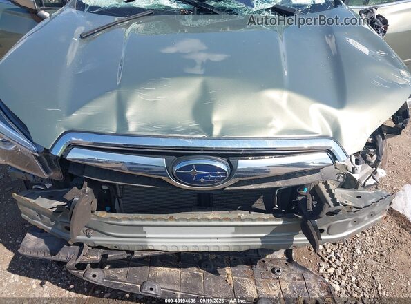 JF2SKAXC0LH444690 2020 SUBARU FORESTER Green Vista trasera