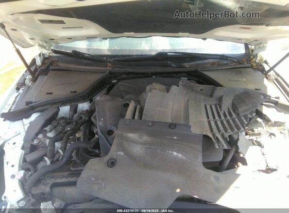JN1EV7AP1MM700638 2021 INFINITI Q50 Белый Вид сзади