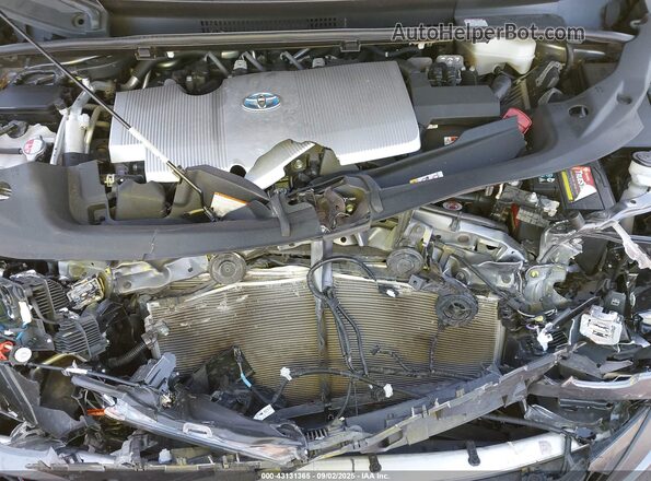 JTDKAMFP8M3191012 2021 TOYOTA LIMITED Серый Вид сзади