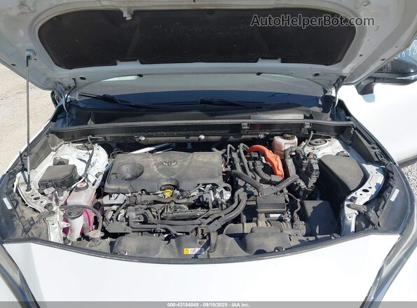 JTEAAAAHXPJ141699 2023 TOYOTA VENZA White Հետևի տեսք