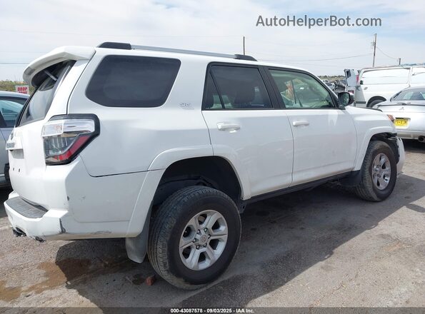JTEEU5JR5M5234658 2021 TOYOTA 4RUNNER White Вид задньої частини салону