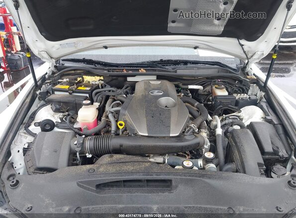 JTHBA1D23K5090269 2019 LEXUS IS 300 White Հետևի տեսք