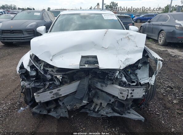 JTHBA1D23K5091566 2019 LEXUS IS White Սալոնի հետևի տեսք