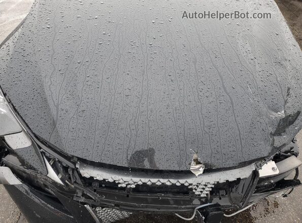 JTHBP5AY1LA007350 2020 LEXUS LC Black Սալոնի հետևի տեսք