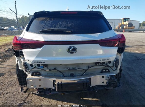 JTHP6JBH0P2132596 2023 LEXUS UX 250H Белый Вид спереди