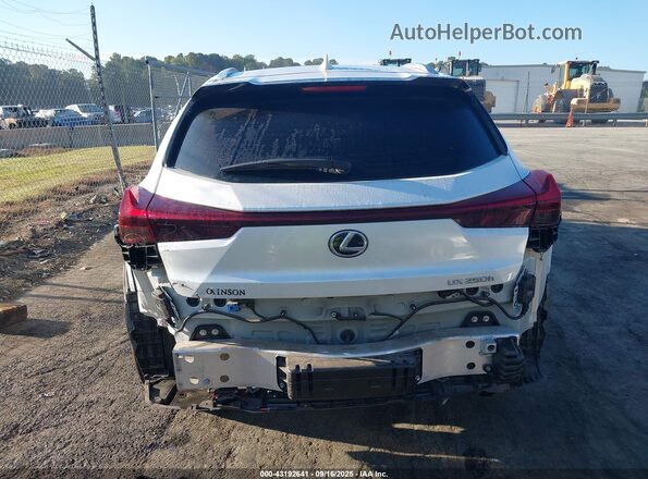 JTHP6JBH0P2132596 2023 LEXUS UX 250H Белый 
