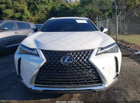 JTHP6JBH0P2132596 2023 LEXUS UX 250H Белый Вид задней части салона