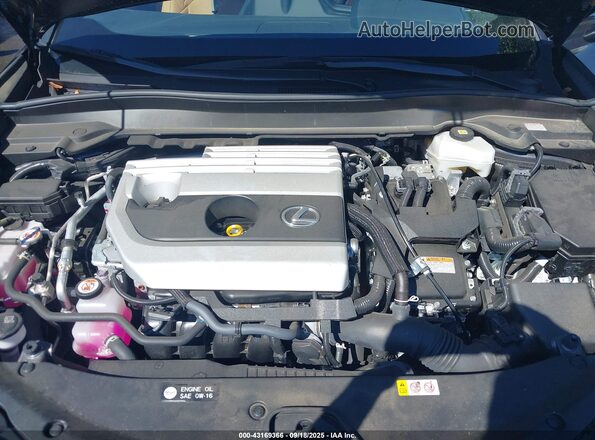 JTHP9JBH4R2076320 2024 LEXUS UX 250H Gray Rear view