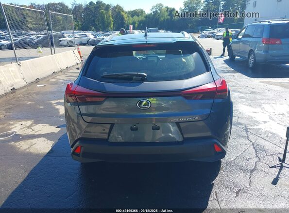 JTHP9JBH4R2076320 2024 LEXUS UX 250H Gray 