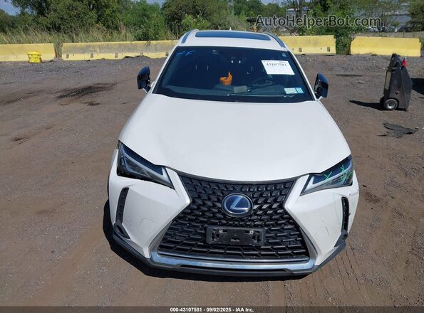 JTHP9JBH8M2051705 2021 LEXUS UX 250H Белый Вид щитка приборов