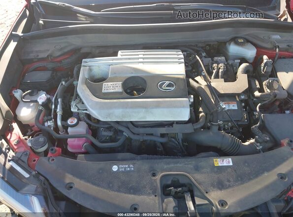 JTHR9JBH0M2039167 2021 LEXUS UX 250H Red უკანა ხედი