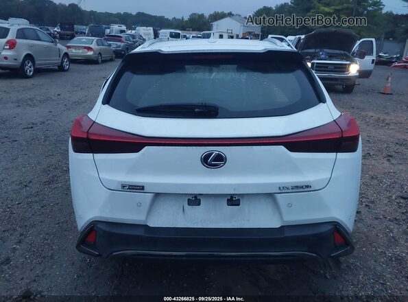 JTHR9JBH3M2045609 2021 LEXUS UX 250H White 