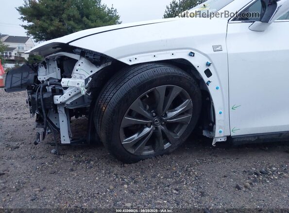 JTHR9JBH3M2045609 2021 LEXUS UX 250H White 