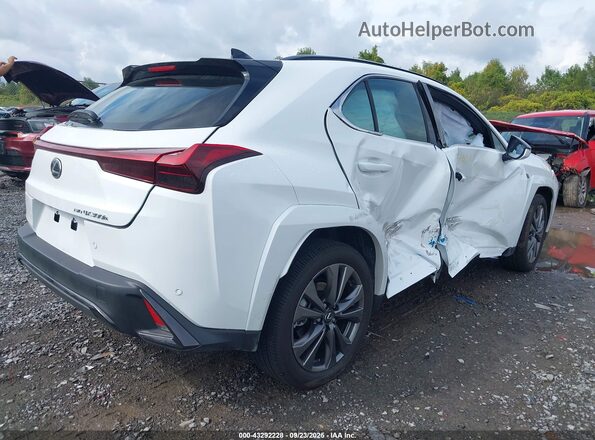 JTHUCJDH2S2010694 2025 LEXUS UX 300H White Задня права чверть