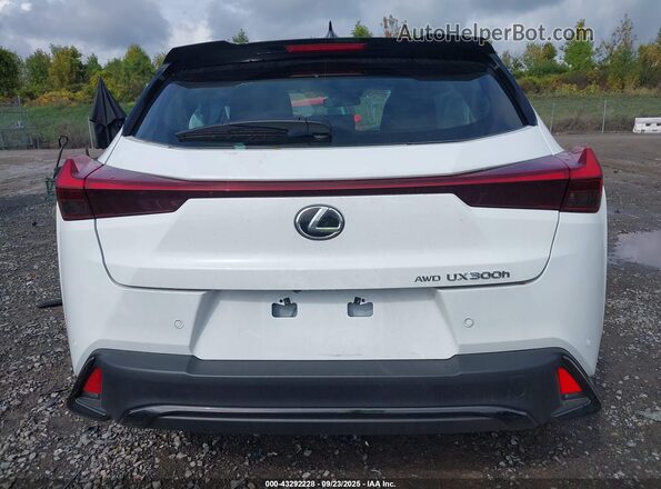 JTHUCJDH2S2010694 2025 LEXUS UX 300H White 