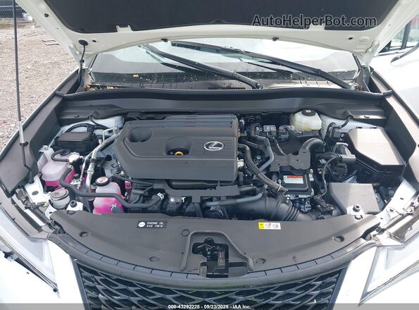 JTHUCJDH2S2010694 2025 LEXUS UX 300H White Вид ззаду