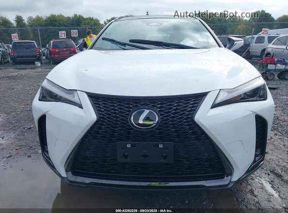 JTHUCJDH2S2010694 2025 LEXUS UX 300H White Вид задньої частини салону