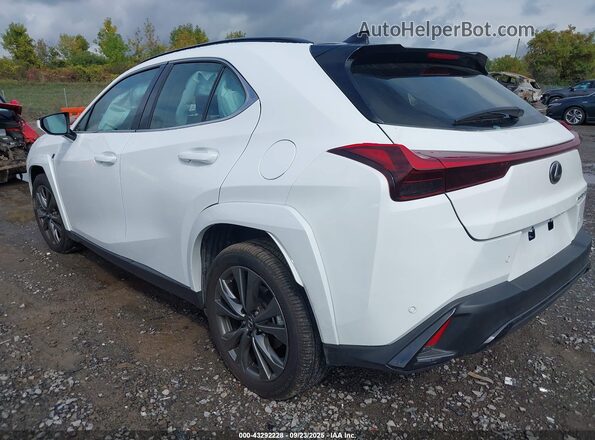 JTHUCJDH2S2010694 2025 LEXUS UX 300H White Задня ліва чверть