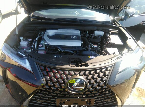 JTHX6JBH5R2186706 2024 LEXUS UX 250H Black Вид ззаду