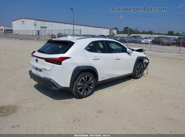 JTHX9JBH2M2052610 2021 LEXUS UX 250H White Հետևի աջ