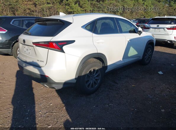 JTJAARBZ2L5012771 2020 LEXUS NX 300 White Задня права чверть