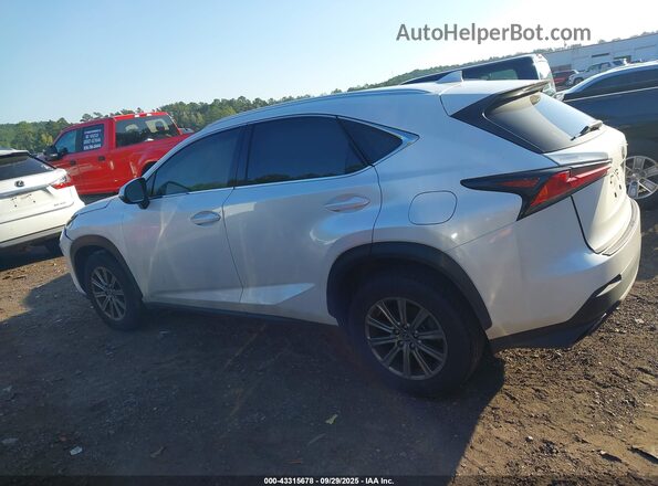 JTJAARBZ2L5012771 2020 LEXUS NX 300 White Панорамний вид салону 360°